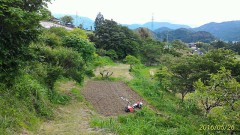 『ほうば巻き』と『五平餅』