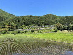 私もオタクなんでしょうね！