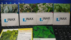 最後の『種まき』かな？