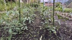 毎日「少しずつ」を継続する方法で！