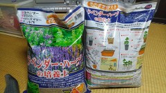 今日は大雨～！（作物『動画』ショッキング！）