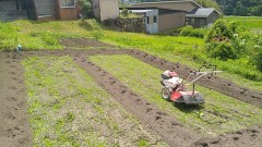 減量継続中！（でも食べたいものは食べる）