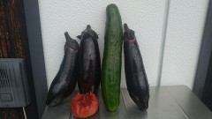 ナニモノかに食べられちゃった！（お題にもね）