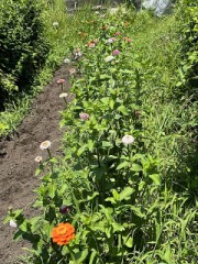 静かにお湿りの雨～