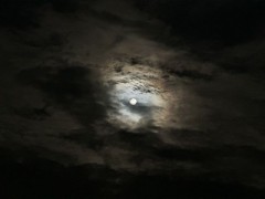 今夜のお月さま！