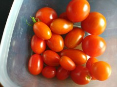 牛乳を飲むと想い出すこと（お題：ハマってる飲み物）