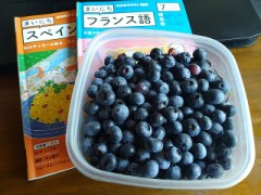 今日のいちばんのお仕事～