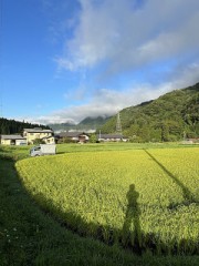木本類ハーブの移植を開始、ワイルドに育つかな？