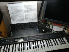 今日は「バイオリンの日」（お題：今季デビューした事）