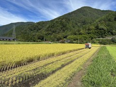 今日の「大仕事」（でも 40分 で終了）