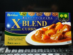 新しいカレー（お題：今年中に完結したい事）