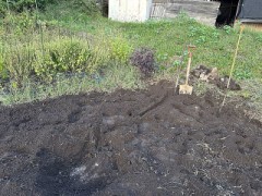 今日は特別な作業になりました。