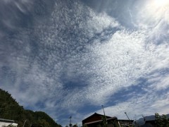 今日も空シリーズになります。