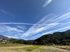 主役は大地！