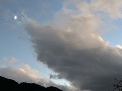 １１月はクラシック月間だそうです！