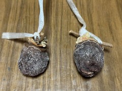 パソコン、だましだまし！（干し柿も）