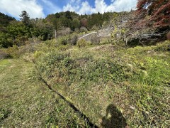 水を制するもの（お題：性器の悩み）