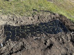 追加玉ねぎの植え付け（お題：ぼったくりにあったことある？）