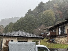 初雪になりました！