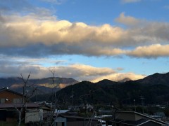 映画とか小説で読む他人の人生！（お題：居候した経験ある？）