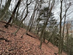 山の斜面（こんな風景が好きかも）