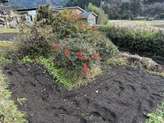 ポタジェの候補地 (Jardin potager)（主導権はどっち？）