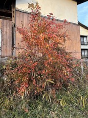 石油ストーブだと静かな夜です。