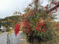 けっこう目立つのです（お題：ラブホって予約）