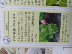 白菜を縛っておこうかしら（お題：理想のクリスマス？）