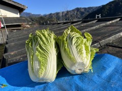 天気が良い日は「瀬戸のほんじお」