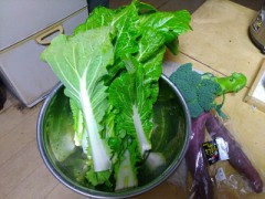 巻かなかった白菜です。