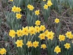 これは名言、腑に落ちた言葉！（お題：焼肉店）