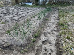 オスとメスの接触不良が多発