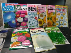 今日のお買い物（クリニックの後に）