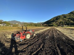 稲作の損益計算をしてみます。