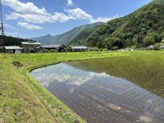 田園風景です