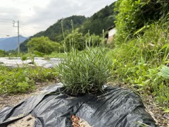 時が解決してくれました！（判明）