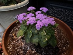 昨年と違うところ