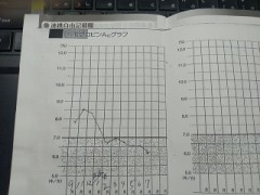 半年の推移を大公開！