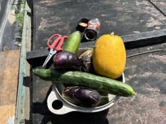 うりうりが.うりうりにきて.うりうりのこし.うりうりかえるうりうりのこえ