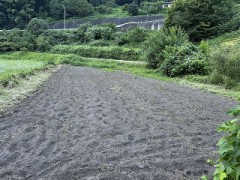 耕作放棄地だった畑