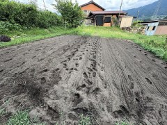 秋冬野菜の準備（第１弾）