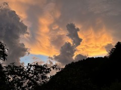 秋どりきゅうり消費中