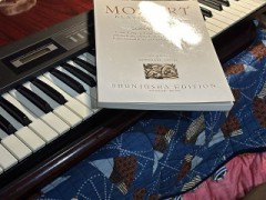 久しぶりの鍵盤、触りました。