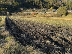 肥料をあげました