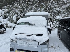しっかり降っています