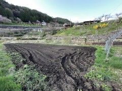 本格的に農作業開始です