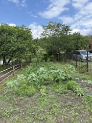 ガーデンデザイン