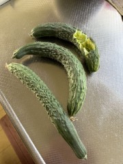 先客がありました