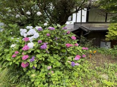 財布類をどこかで紛失